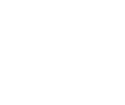 scale