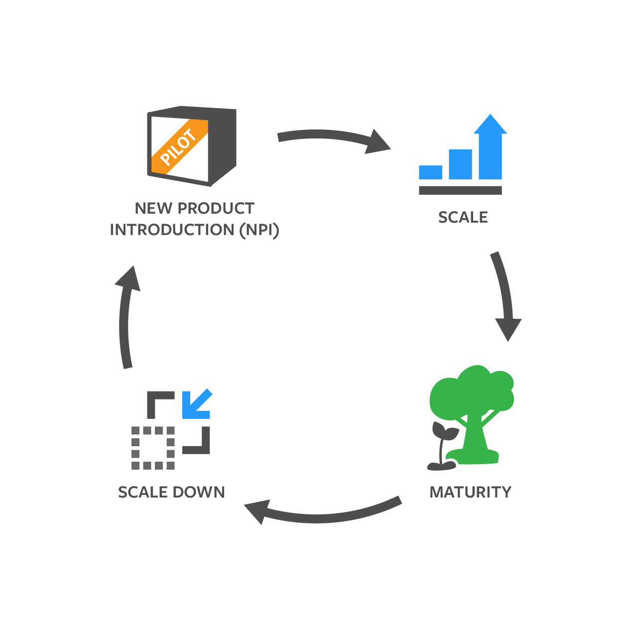 product lifecycle