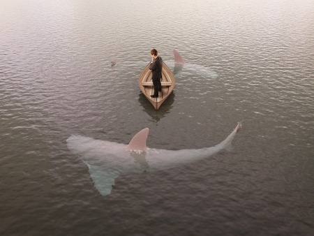 Boat _sharks