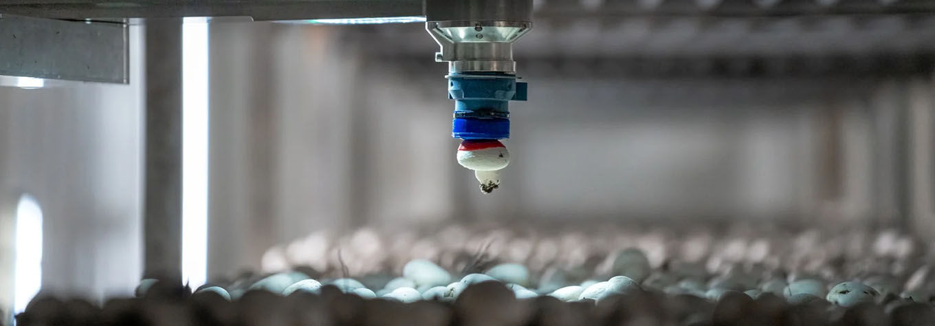 Image-4AG Robotics' fully autonomous, vision-guided mushroom harvesting robot.