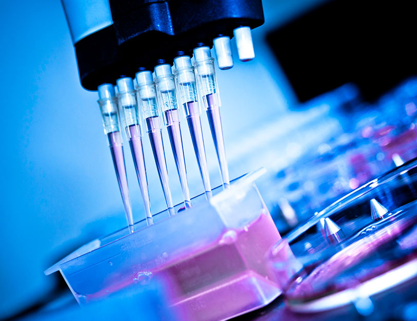 Ejemplos de biotecnología