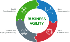 Buiness Agility Diagram