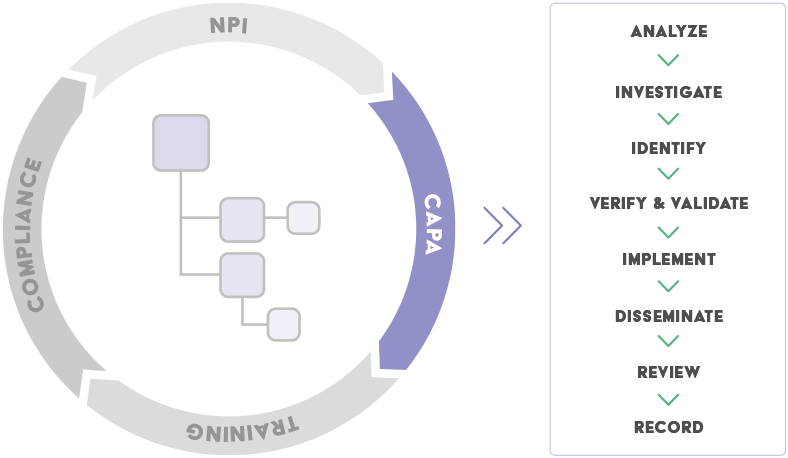 CAPA Process