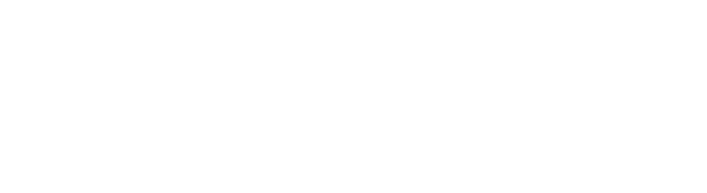 Logo-Product Realization Group