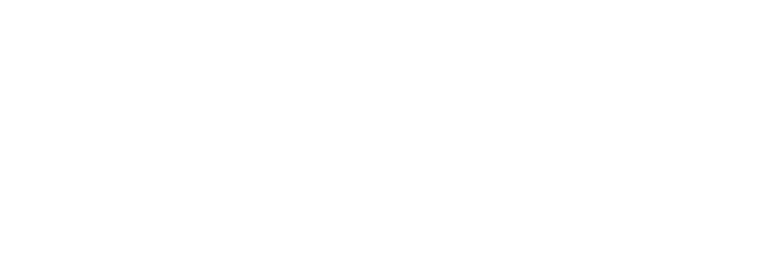Logo-Product Realization Group