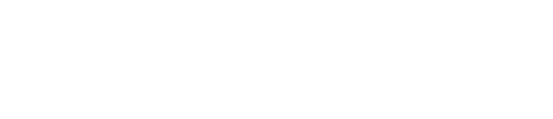 Logo-The Results Group
