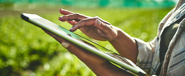 closeup of hands typing on a laptop