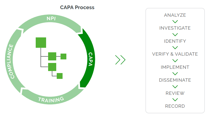 CAPA Process