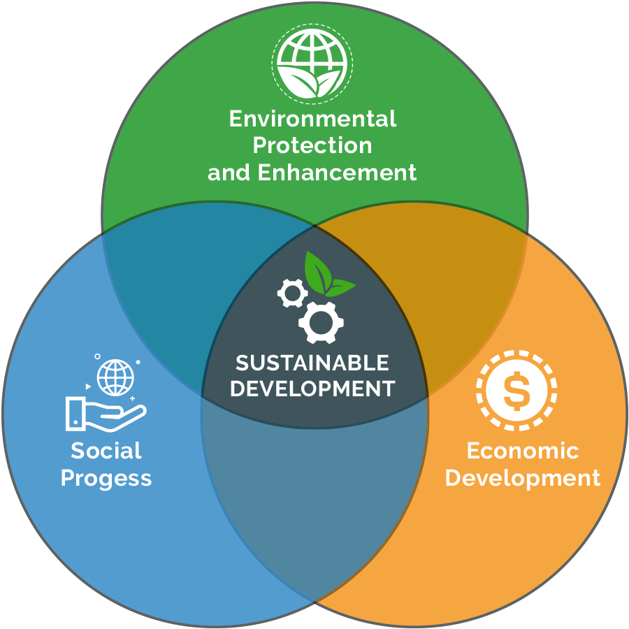 Sustainable Development Definition Arena